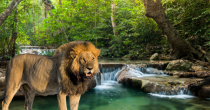 Lake Manyara National Park