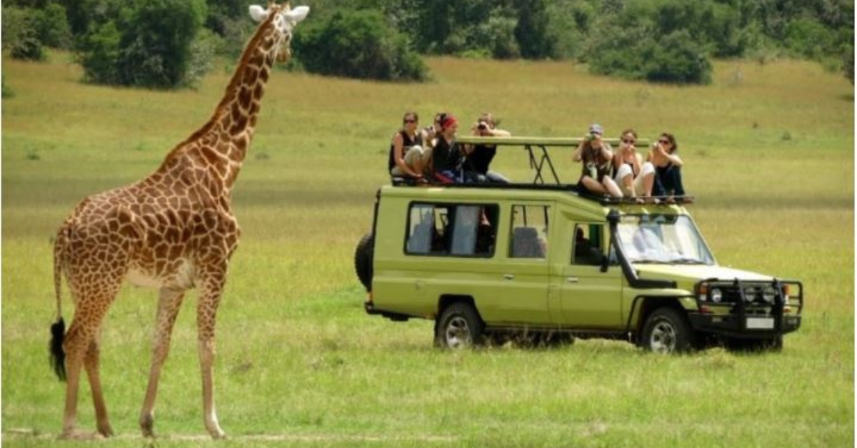 Game Drives in Lake Manyara National Park